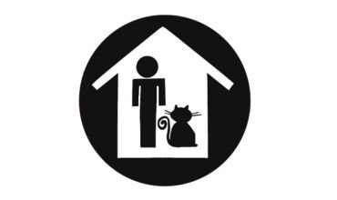 design sem nome (19)