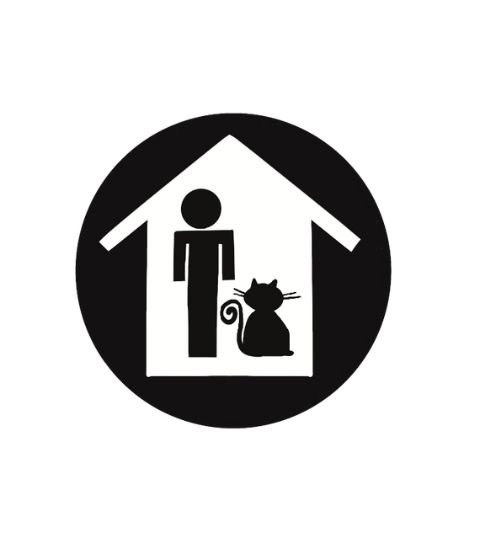 seguro fiança e capitalização nb seguros